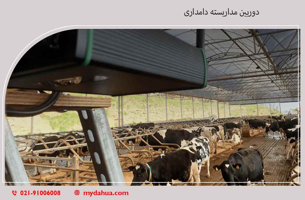 دوربین مداربسته دامداری