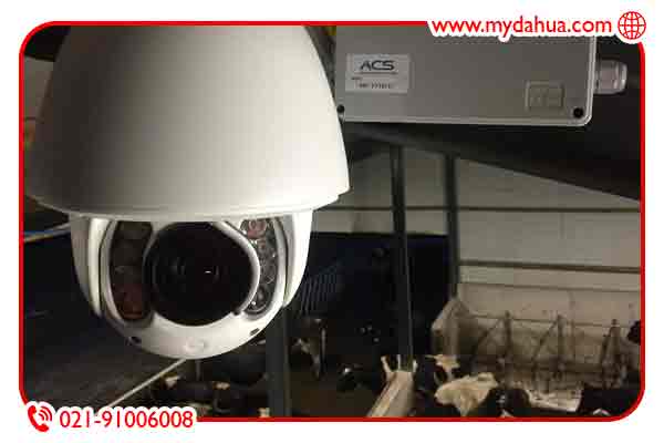 دوربین مداربسته دامداری